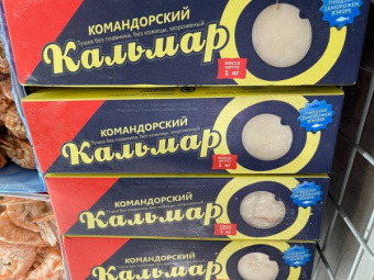 Кальмар Командорский