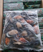 Мидии киви зеленые