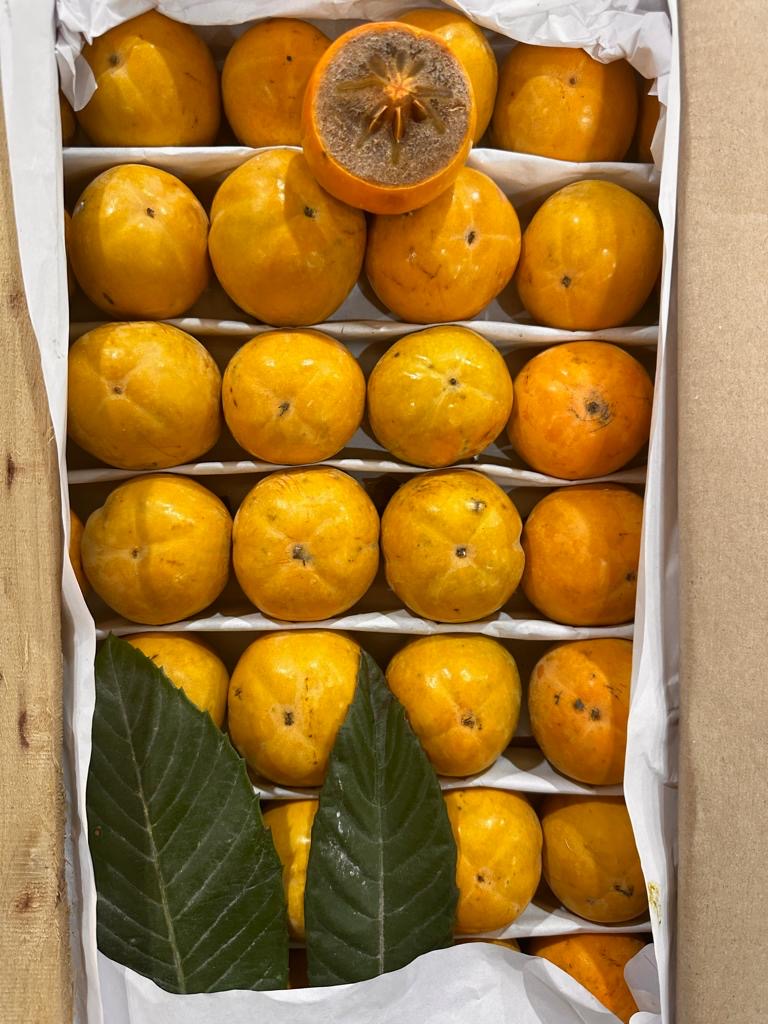 Хурма королек Узбекистан