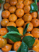 Мандарины Афьер Турция